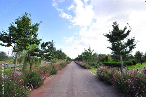 path in the park