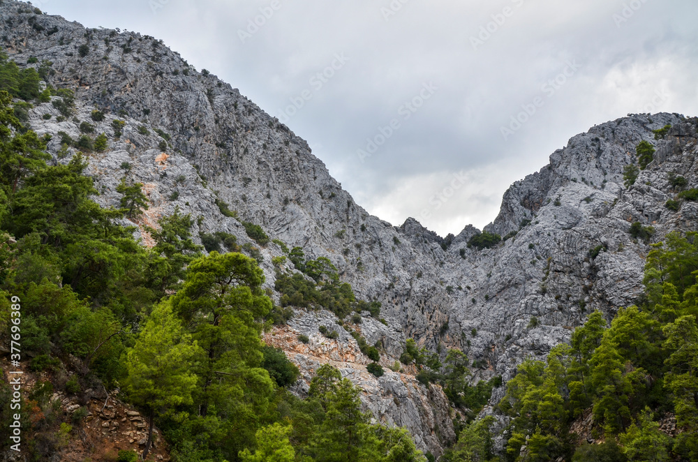 Beautiful nature mountain landscape covered with green vegetation in Turkey mountains. Lycian way is famous among hikers. 
