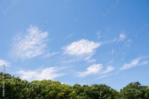 青空と雲