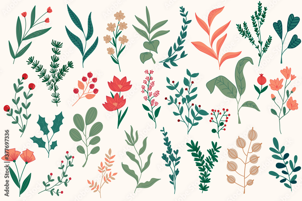 Floral decorations set for Christmas postcards. Botanical clipart isolated collection. Plants, flowers and herbs vector illustration. Perfect for winter holidays greeting cards, booklets and banners.