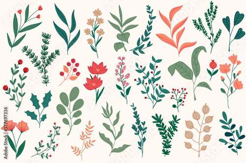 Floral decorations set for Christmas postcards. Botanical clipart isolated collection. Plants, flowers and herbs vector illustration. Perfect for winter holidays greeting cards, booklets and banners.