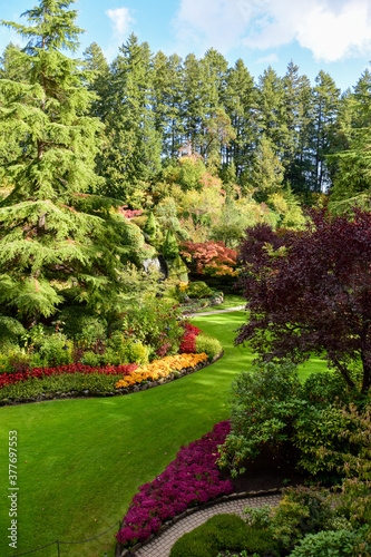 A picture of a well-tended garden. Victoria BC Canada 