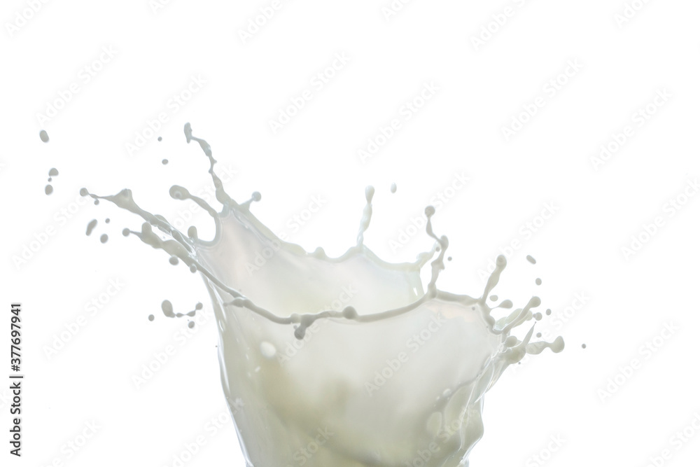 Milk drops and splashes white background