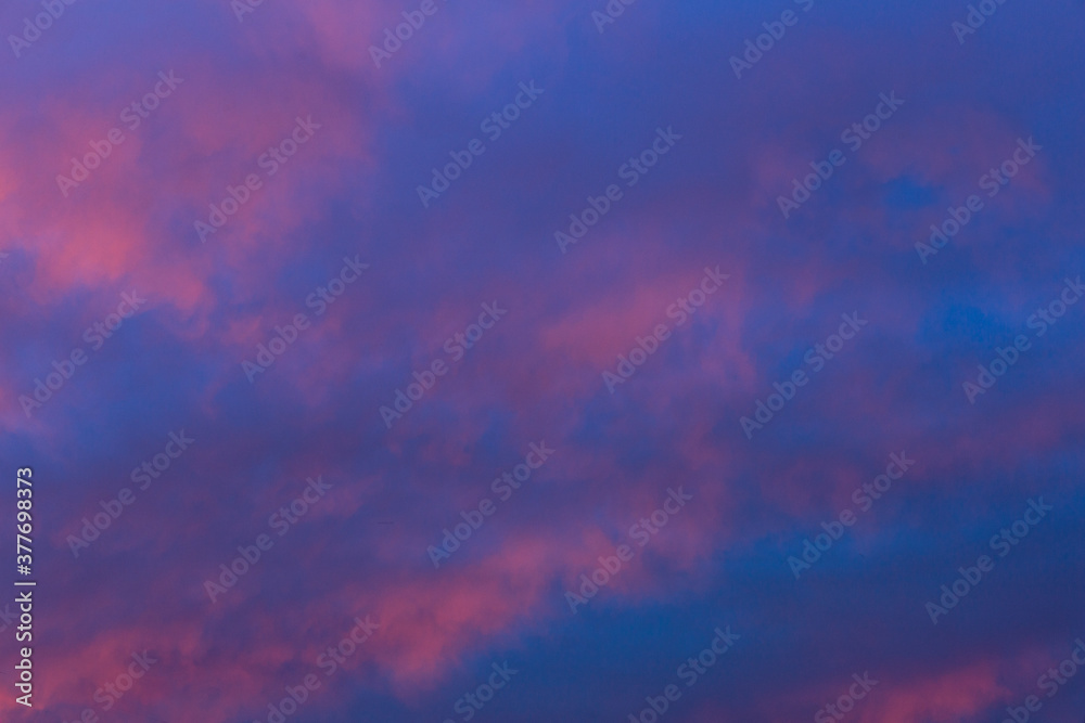 The crimson sunset. Purple glow on the evening clouds. Sky and clouds as background.
