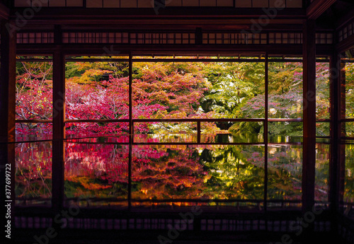 紅葉の京都 瑠璃光院