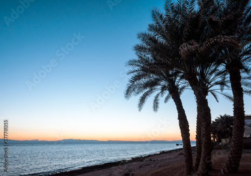 Coast of the Red Sea, in Gulf of Aqaba, near Dahab.Egypt