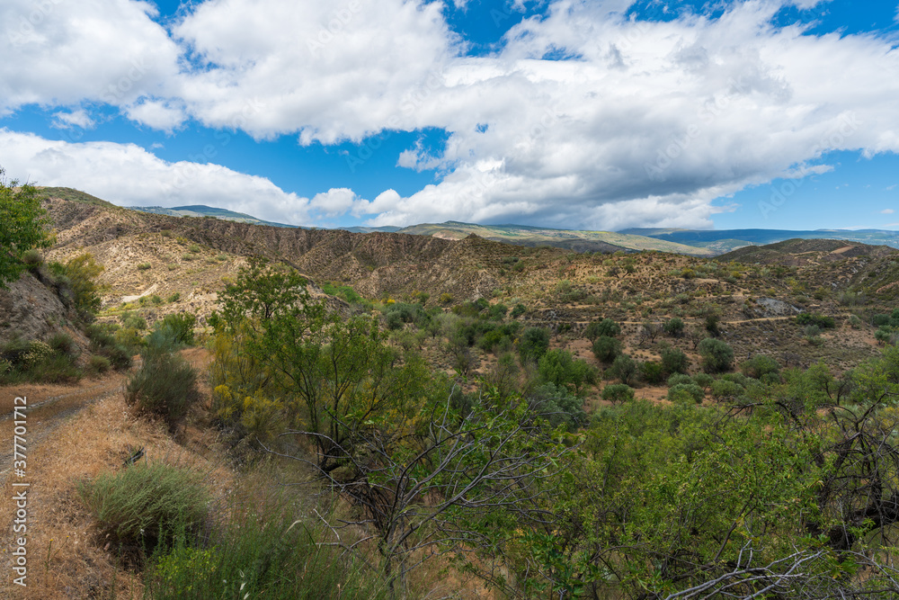 Mountainous landscape with vegetation in southern Spain Mountainous landscape with vegetation in southern Spain