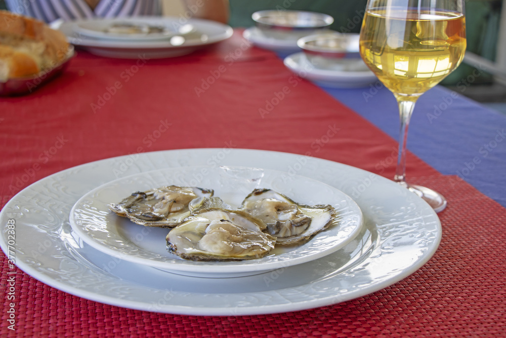 Oysters in ice on a white plate and glass of white wine Oysters in ice on a white plate and glass of white wine