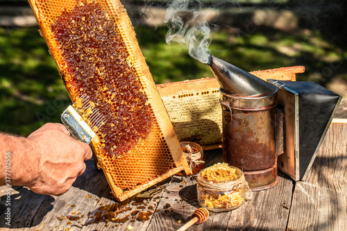 Konstfotografi Beekeeping concept, beekeeping tools