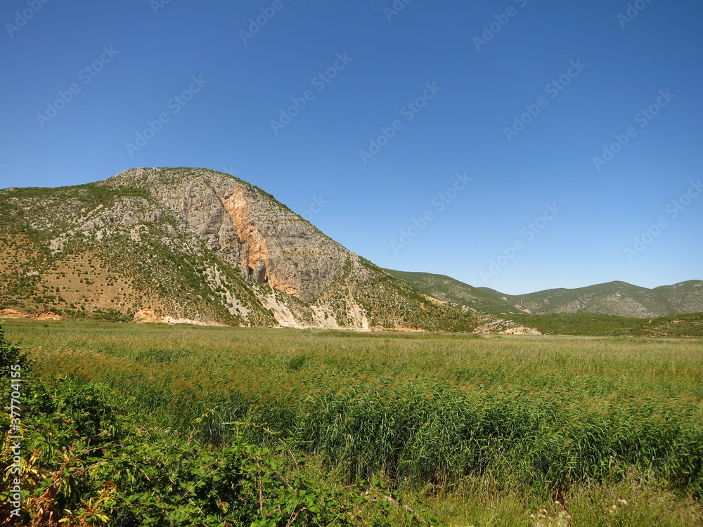 Small lake prespa hidden by reeds, Albania Small lake prespa hidden by reeds, Albania
