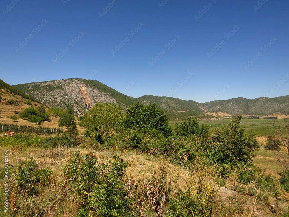 Small lake prespa in Albania, hidden by reeds Small lake prespa in Albania, hidden by reeds