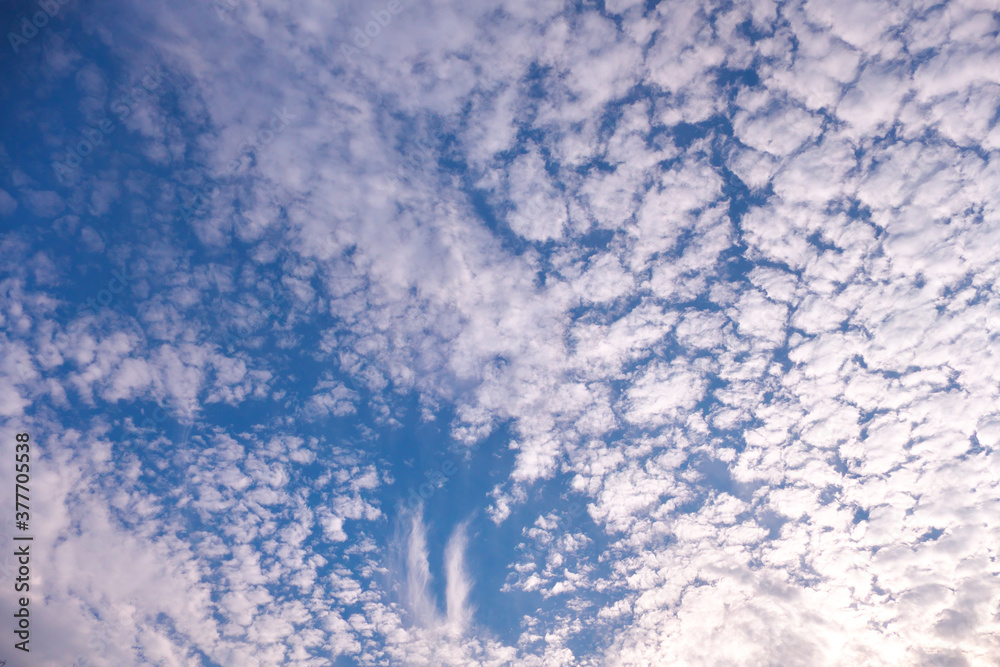 Obraz premium 青空と雲