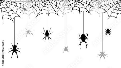 Spooky Spiders