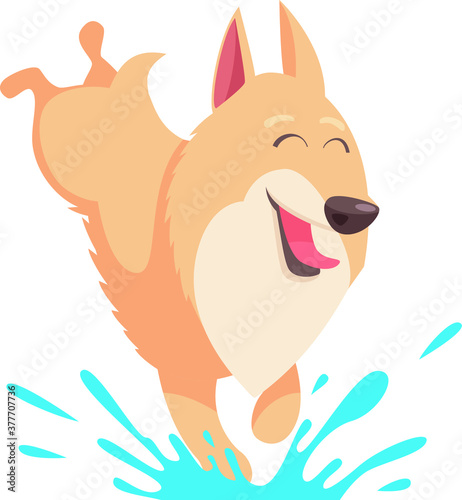 hilarious naughty cartoon doggie corgi doing pranks and playing