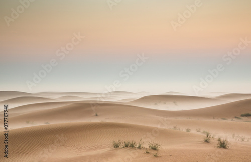 sunrise in a misty desert