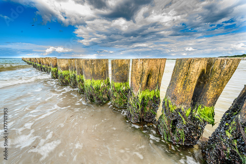 Holzpfähle am Strand mit beeindruckenden Wolken aus der Froschperspektive