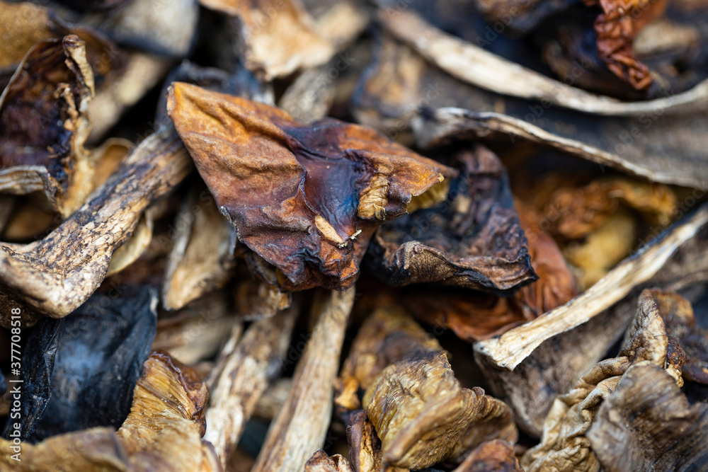 Close up of dried mushrooms. Macro shot. Selective focus.
