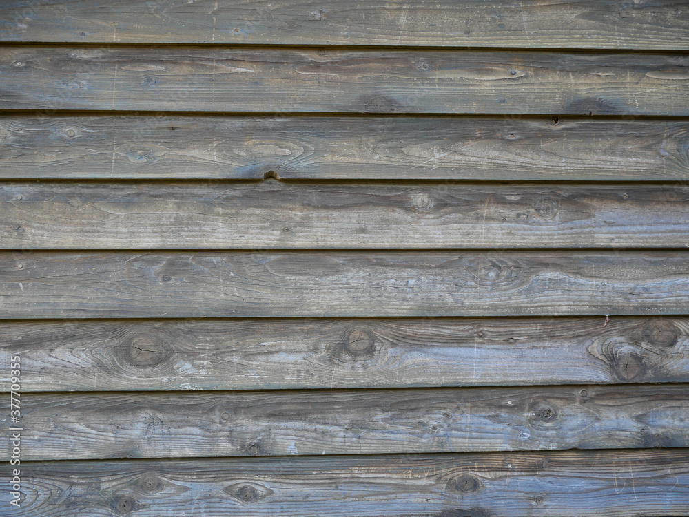 Textured, weathered pine wood boards on small building's side wall close up shot for background.