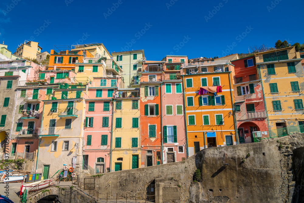 Colorful buildings on the seaside town of Riomagiorre, Italy.