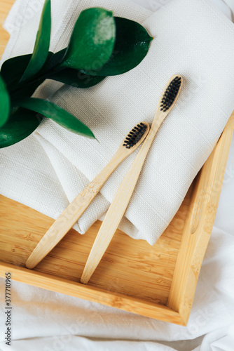 Toothbrushes made of natural bamboo close-up close with green leaves
