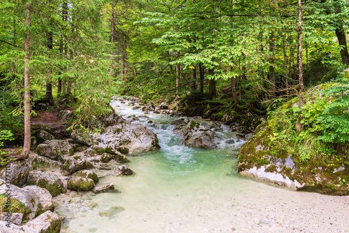 Ramsauer Ache im Zauberwald im Berchtesgadener Land photo