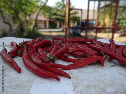 chiles rojos photo