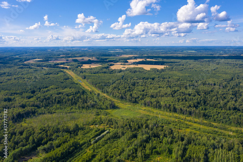 View of a large forest near the village of Bunkovo, Ivanovsky district, Ivanovo region, Russia. photo