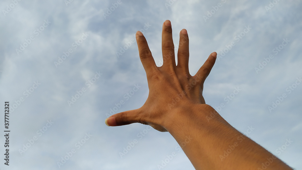 hands holding the leaves, and lifting to the sky hands holding the leaves, and lifting to the sky
