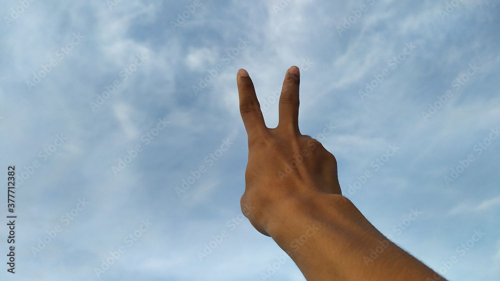 hands holding the leaves, and lifting to the sky hands holding the leaves, and lifting to the sky