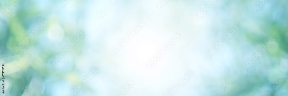 Abstract background. Light blue Leaf blurred. The bokeh circle from the light shining through.