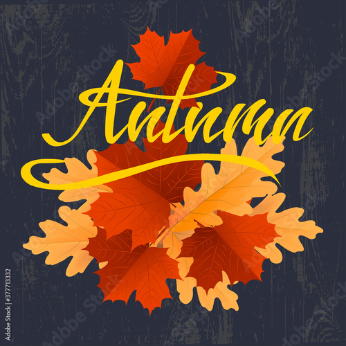 Fotografija Autumn hand made lettering