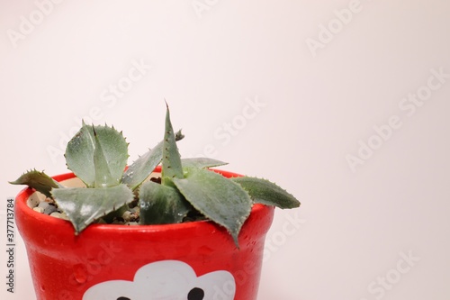 strawberry in a glass