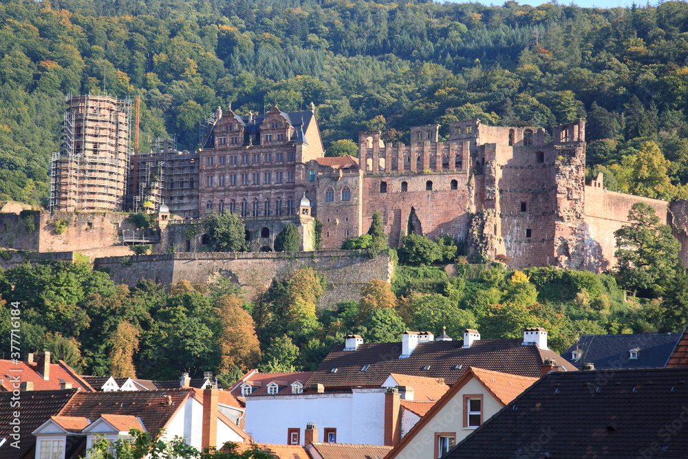 View of Heidelberg castle ruins and old town during sunset in autumn in Heidelberg, Germany