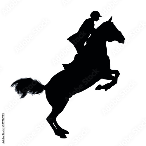 Silhouette Of Horseback Riding Or Equestrian Sport