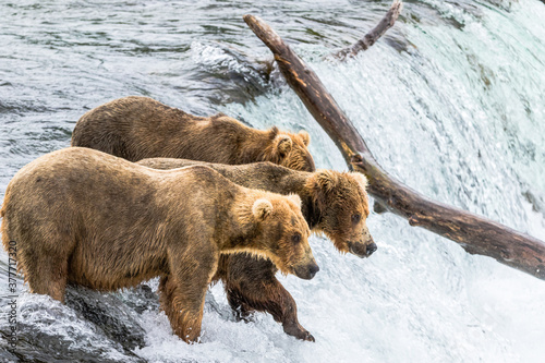 Wallpaper Mural Waiting Torontodigital.ca