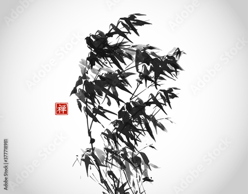 Ink wash painting of bamboo in the wind. Traditional oriental ink painting sumi-e, u-sin, go-hua. Translation of hieroglyph - zen