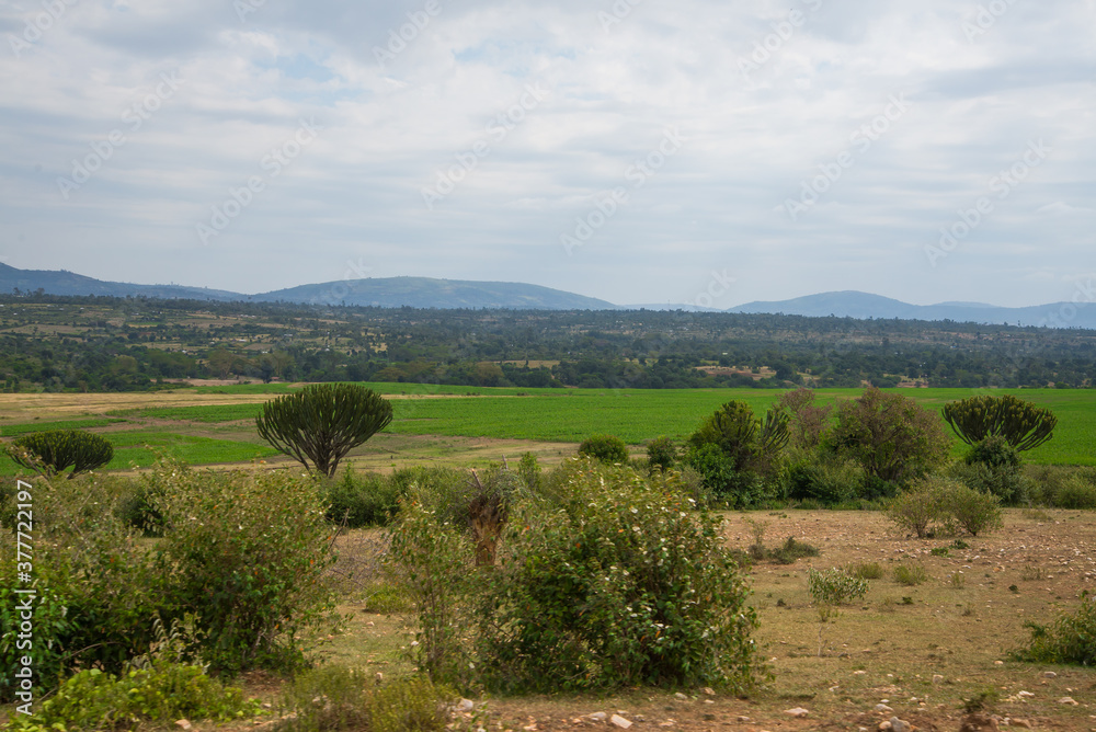African Farmland and landscapes from Kenya