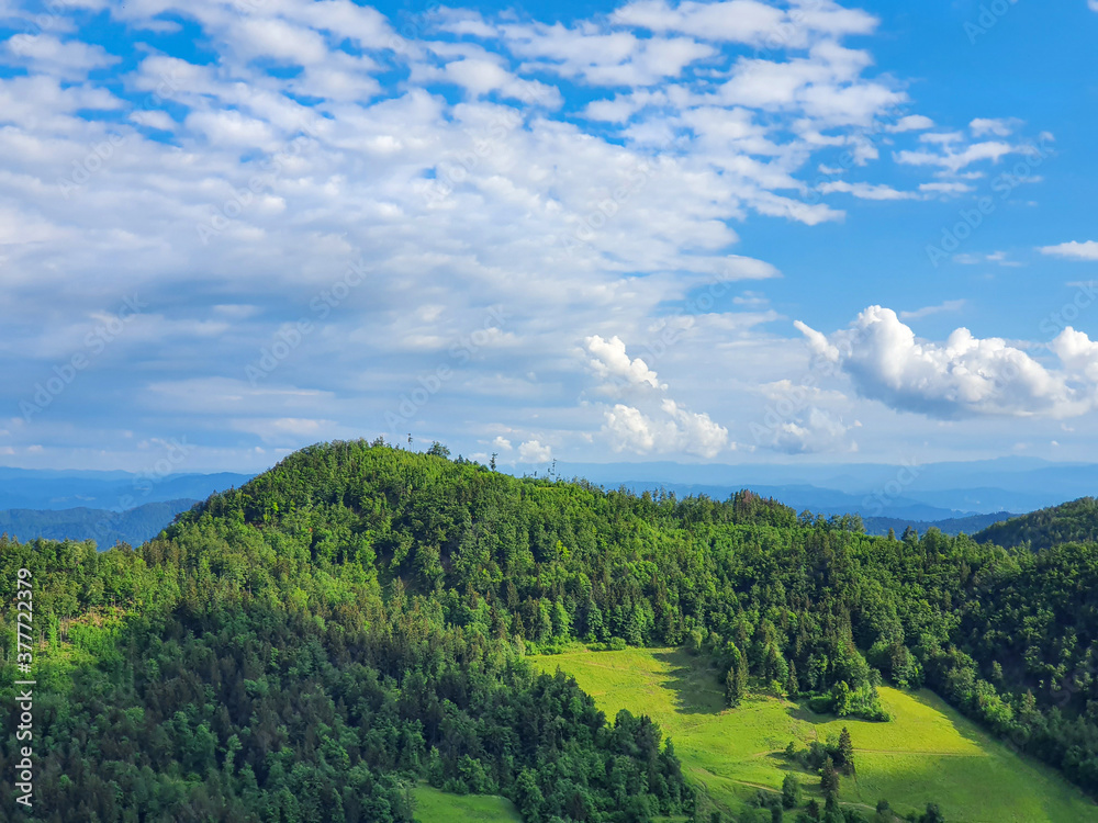 AERIAL: Flying over the dense woods covering the vast Logarska Dolina, Slovenia.
