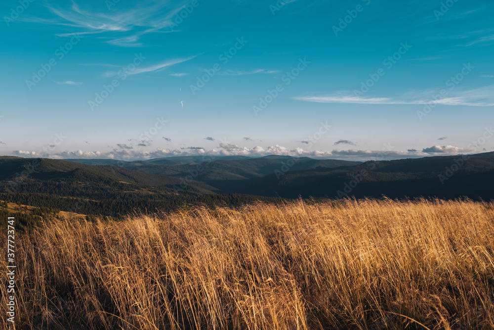 Panoramic view of idyllic rolling hills summer landscape in the Carpathian Mountains. Picturesque landscape valley in Ukraine.