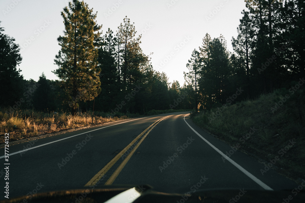 Road with Sun Road with Sun