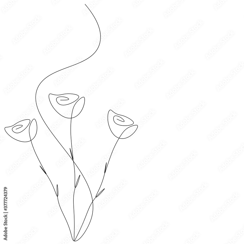 Roses flower line drawing, vector illustration Roses flower line drawing, vector illustration