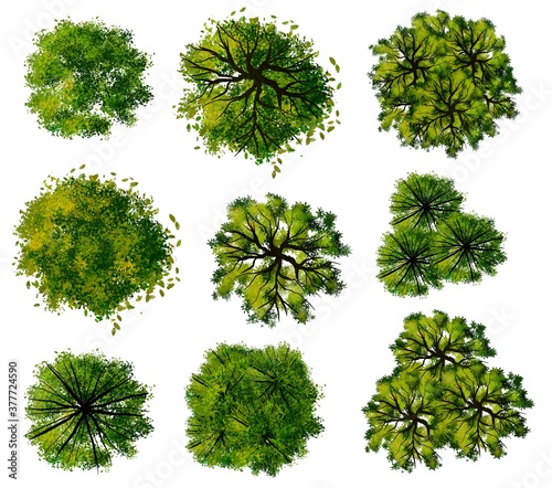 Set of watercolor green tree top view for landscape plan and architecture layout drawing ,elements for garden or environment 