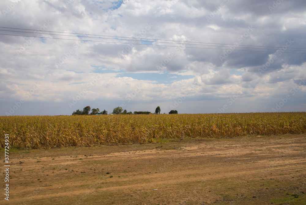 Obraz premium African Farmland and landscapes from Kenya