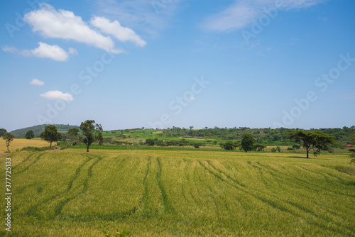 African Farmland and landscapes from Kenya © Subair