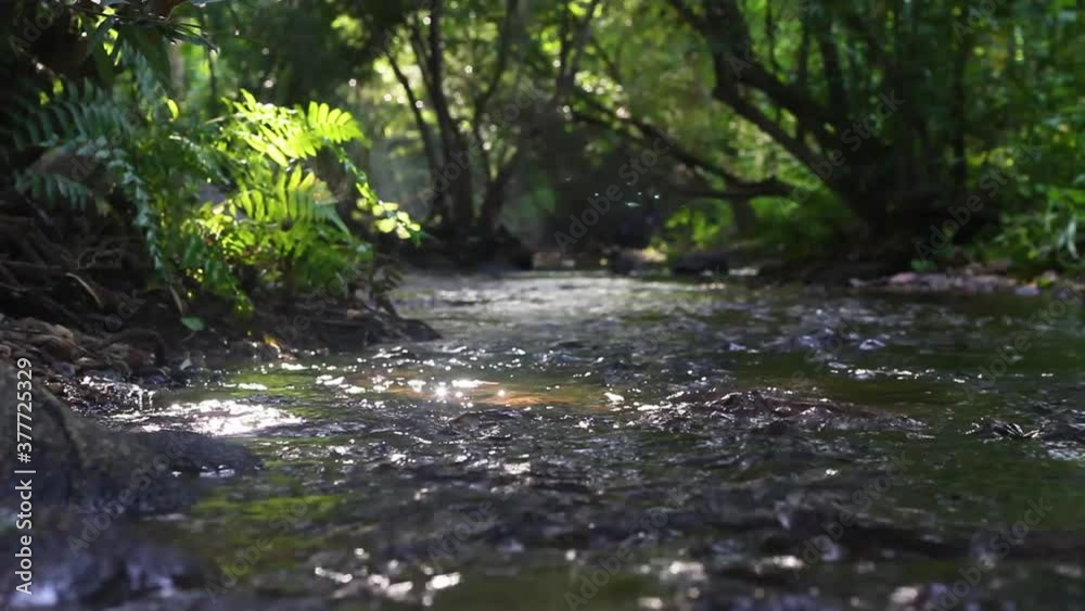 The stream from the waterfall in the valley and the morning sunshine in Thailand. The stream from the waterfall in the valley and the morning sunshine in Thailand.