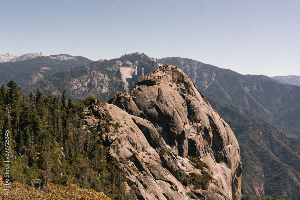 Fototapeta premium Mountains and trees