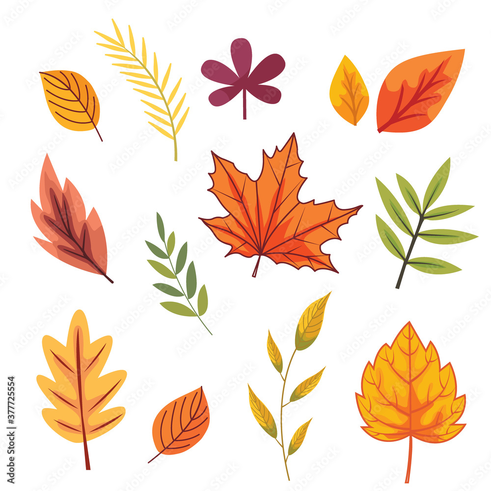 Autumn Leaves Set collections, Vector Illustration