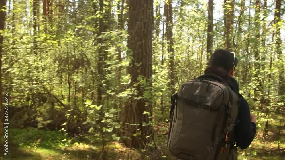 Hiking woman walk with a hiking backpack in spring green forest Hiking woman walk with a hiking backpack in spring green forest
