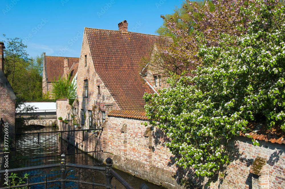Beguinage Ten Wijngaerde, Historic centre of Bruges, Belgium, Unesco World Heritage Site.