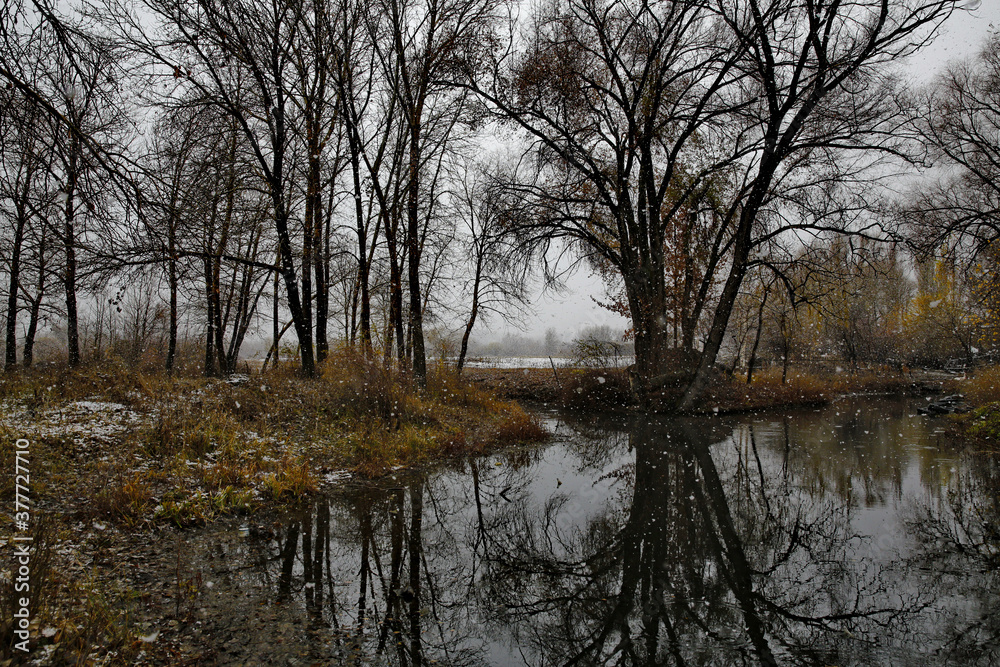 Allphotokz Taldykorgan Nature 20141110 1143 5DM3 S Allphotokz Taldykorgan Nature 20141110 1143 5DM3 S